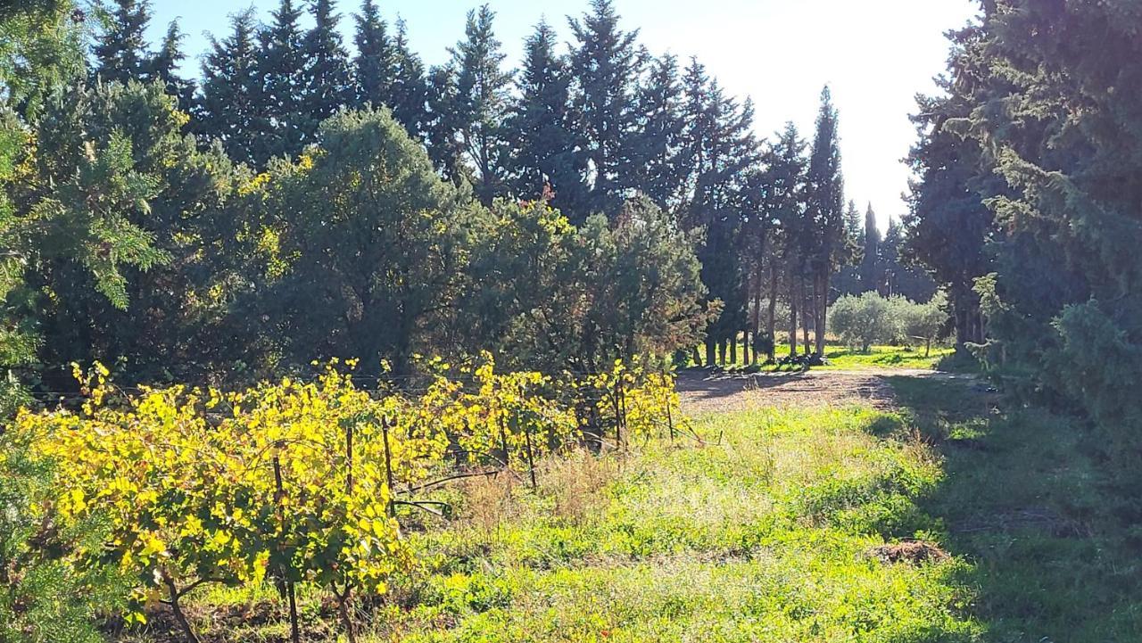 Maison Village Vacances Demeures Du Ventoux 아우비그난 외부 사진